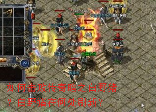 如何击败传奇暗之白野猪?白野猪在何处刷新? 如何击败传奇暗之白野猪?白野猪在何处刷新?