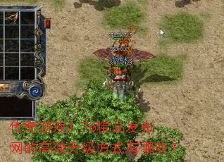 传奇游戏1.76精品发布网的高效升级方式有哪些? 传奇游戏1.76精品发布网的高效升级方式有哪些?