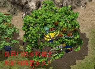 白日门的多钩猫王刷新间隔是多久? 白日门的多钩猫王刷新间隔是多久?