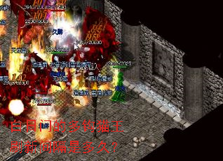 白日门的多钩猫王刷新间隔是多久? 白日门的多钩猫王刷新间隔是多久?