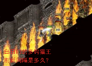 白日门的多钩猫王刷新间隔是多久? 白日门的多钩猫王刷新间隔是多久?