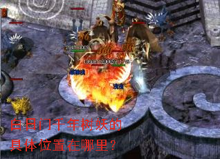 白日门千年树妖的具体位置在哪里? 白日门千年树妖的具体位置在哪里?