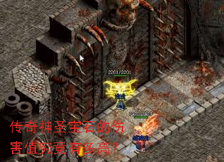 传奇神圣宝石的伤害值究竟有多高? 传奇神圣宝石的伤害值究竟有多高?