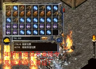 如何快速提升金陵专属版本角色等级? 如何快速提升金陵专属版本角色等级?