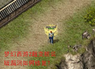 梦幻西游2超变靓装版漏洞如何修复? 梦幻西游2超变靓装版漏洞如何修复?