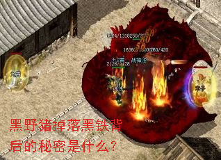 黑野猪掉落黑铁背后的秘密是什么? 黑野猪掉落黑铁背后的秘密是什么?