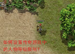 如何设置传奇游戏中的人物等级限制? 如何设置传奇游戏中的人物等级限制?