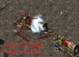 如何从小菜鸟蜕变为游戏传奇高手? 如何从小菜鸟蜕变为游戏传奇高手?