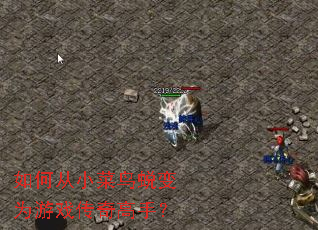 如何从小菜鸟蜕变为游戏传奇高手? 如何从小菜鸟蜕变为游戏传奇高手?