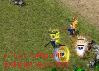 1.76公益传奇版本中如何快速提升角色等级? 1.76公益传奇版本中如何快速提升角色等级?