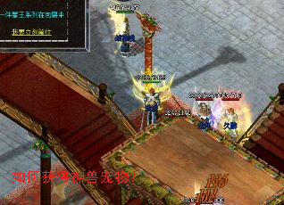 如何获得神兽宠物? 如何获得神兽宠物?