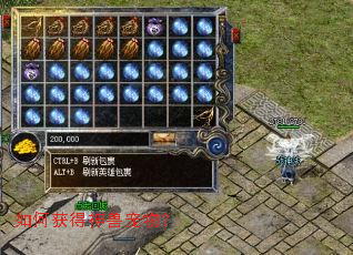 如何获得神兽宠物? 如何获得神兽宠物?