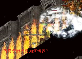 传奇手游武将如何培养? 传奇手游武将如何培养?