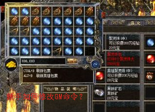 ��������޸�GM���