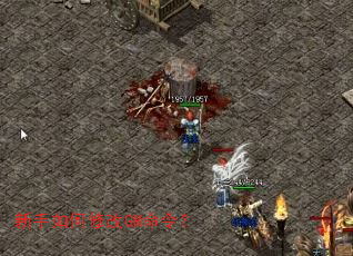 ��������޸�GM���