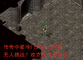 �����������Ŵ�bossΪ��������ս�����˼���ȫ����