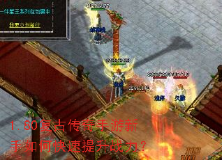 1.80���Ŵ�������������ο�������ս����