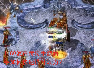 1.80���Ŵ�������������ο�������ս����