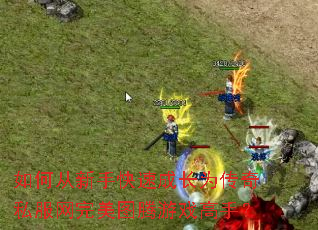 ��δ����ֿ��ٳɳ�Ϊ����˽��������ͼ����Ϸ���֣�