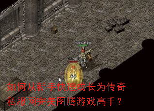 ��δ����ֿ��ٳɳ�Ϊ����˽��������ͼ����Ϸ���֣�