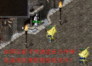 ��δ����ֿ��ٳɳ�Ϊ����˽��������ͼ����Ϸ���֣�