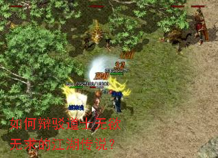 ��α粵��ʿ��������Ľ�����˵��