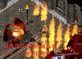 ����ׯ԰������������Щ��Ϊ��֪�����ܣ�