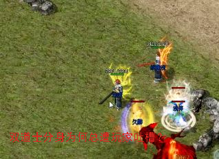 ˫��ʿ����Ϊ����������²ۣ�