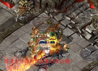 ˫��ʿ����Ϊ����������²ۣ�