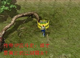 ����IP����ʷ��˭���������Ľ���������