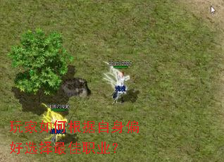 �����θ�������ƫ��ѡ�����ְҵ��