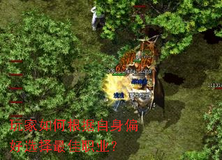 �����θ�������ƫ��ѡ�����ְҵ��