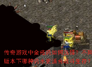 ������Ϸ�н�ҩ���ѡ�񣿲�ͬ�汾������ҩˮ���ʺ�ս�����棿