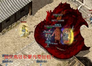 ��θ�Ч���۴��澭�飿