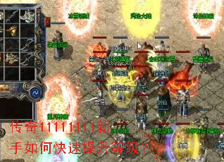 ����11111111������ο��������ȼ���