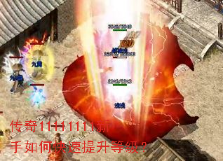 ����11111111������ο��������ȼ���