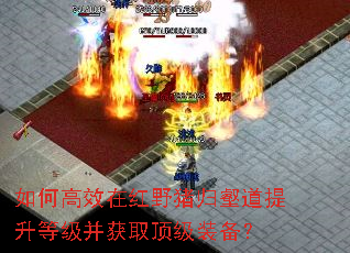 ��θ�Ч�ں�Ұ�����ֵ������ȼ�����ȡ����װ����