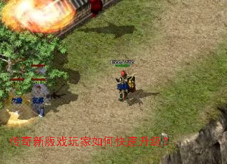 �����°�Ϸ�����ο���������