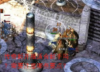 �����¿����ʺ���������Ҫע����ЩҪ�㣿