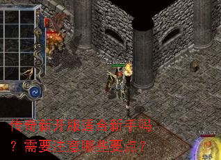 �����¿����ʺ���������Ҫע����ЩҪ�㣿