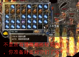 �����������޶���������ս����׼���������������