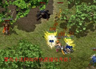 ����С��ʦ��ο���׬Ǯ������