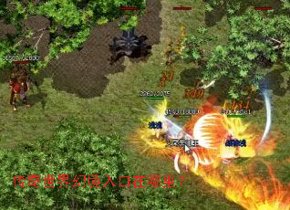 ��������þ���������