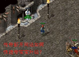 �����¿���վ��ο��ٴ�����������