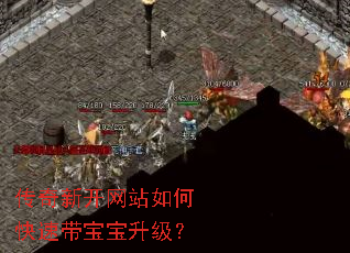 �����¿���վ��ο��ٴ�����������