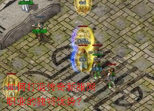 ��δ��촫���·���ְҵ�Ķ������ƣ�