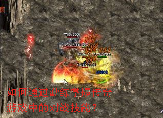 ���ͨ���������մ�����Ϸ�еĶ�ս���ܣ�