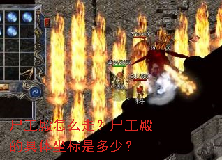 ʬ������ô�ߣ�ʬ����ľ��������Ƕ��٣�