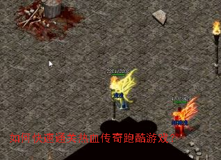 ��ο���ͨ����Ѫ�����ܿ���Ϸ��