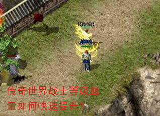 ��������սʿ�ȼ�Ѫ����ο���������